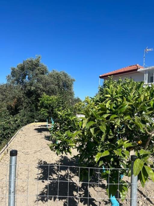 Alex House Apartment Parga Exterior photo