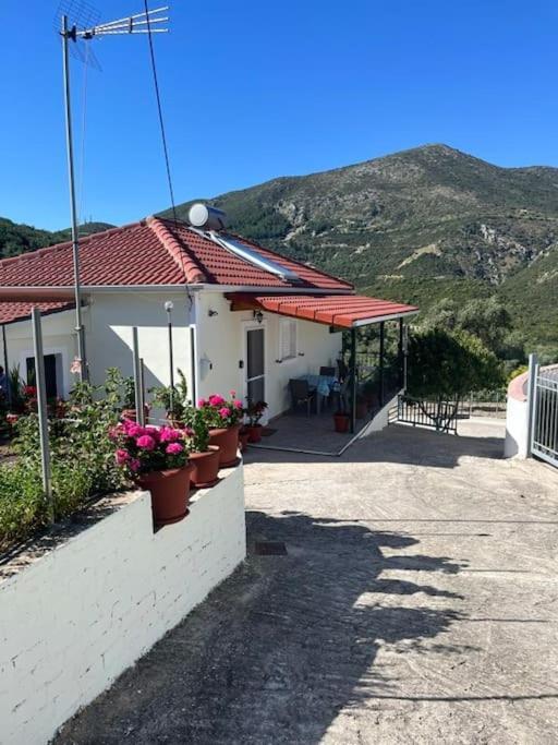Alex House Apartment Parga Exterior photo
